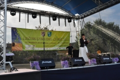 dozynki2013