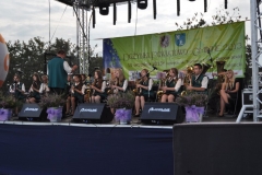 dozynki2013