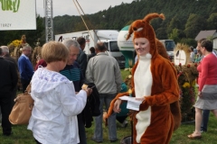 dozynki2013
