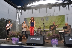 dozynki2013