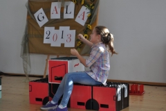 gala-2013