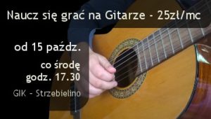 gitara 2014