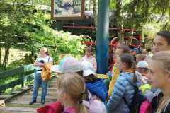 WhatsApp-Image-2023-06-03-at-12.51.40