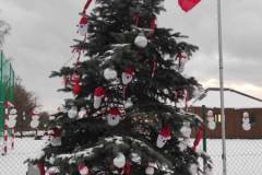 12.2022 Choinki Sołeckie 2022