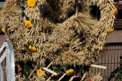 DSC02172_MarekD