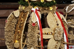 DSC02174_MarekD