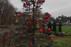 Bozepole-Wielkie2