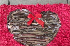 IMG_20210223_092701