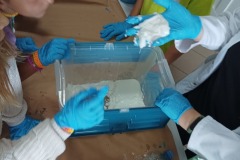 IMG_20230720_122420