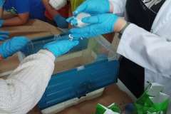 IMG_20230720_122423