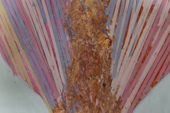 IMG_20221208_093233