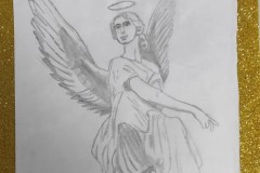 IMG_20221208_093253