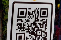 516656562_1193713326118752_9215848630322526459_n