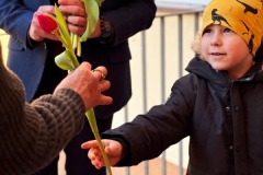 649659931_1396624599160956_2481724920969653758_n