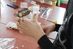 623494873_1362774812545935_8403244439010198075_n