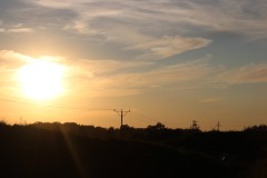 20230916182236_IMG_0262