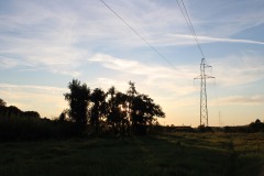 20230916182533_IMG_0277