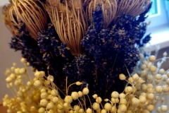 657527565_1411444337678982_5359430028392683977_n