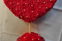 IMG_20220216_092544