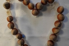 IMG_20220216_093138