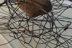 IMG_20220216_100212