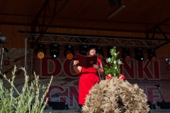 dozynki-gminne-2016