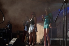 dozynki-gminne-2016