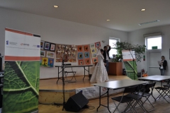 gala-kisewo-2015
