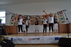 gala-kisewo-2015