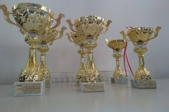 pilkarzyki-2016