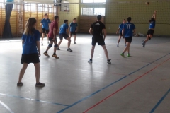 turniej-solectw-w-siatkowke-2016