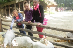 wakacje-swietlino-2014