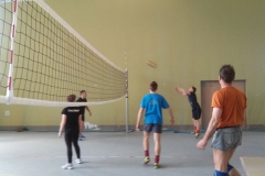 siatkowka-leczyce-2015