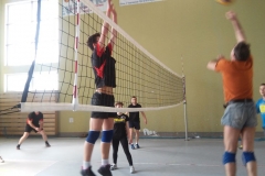 siatkowka-leczyce-2015