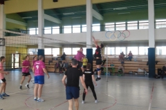 siatkowka-leczyce-2015