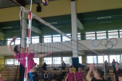 siatkowka-leczyce-2015