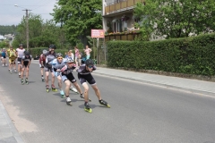 polmaraton-rolkarski-2014