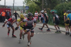 polmaraton-rolkarski-2014