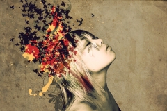 foto-baner