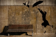 foto-baner