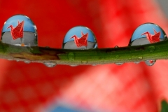 foto-baner