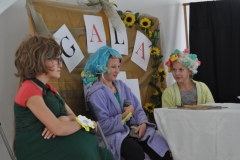 gala-2013