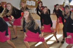 gala-2013
