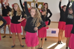 gala-2013
