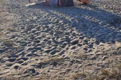 661091098_1413067037516712_8013775351381545203_n